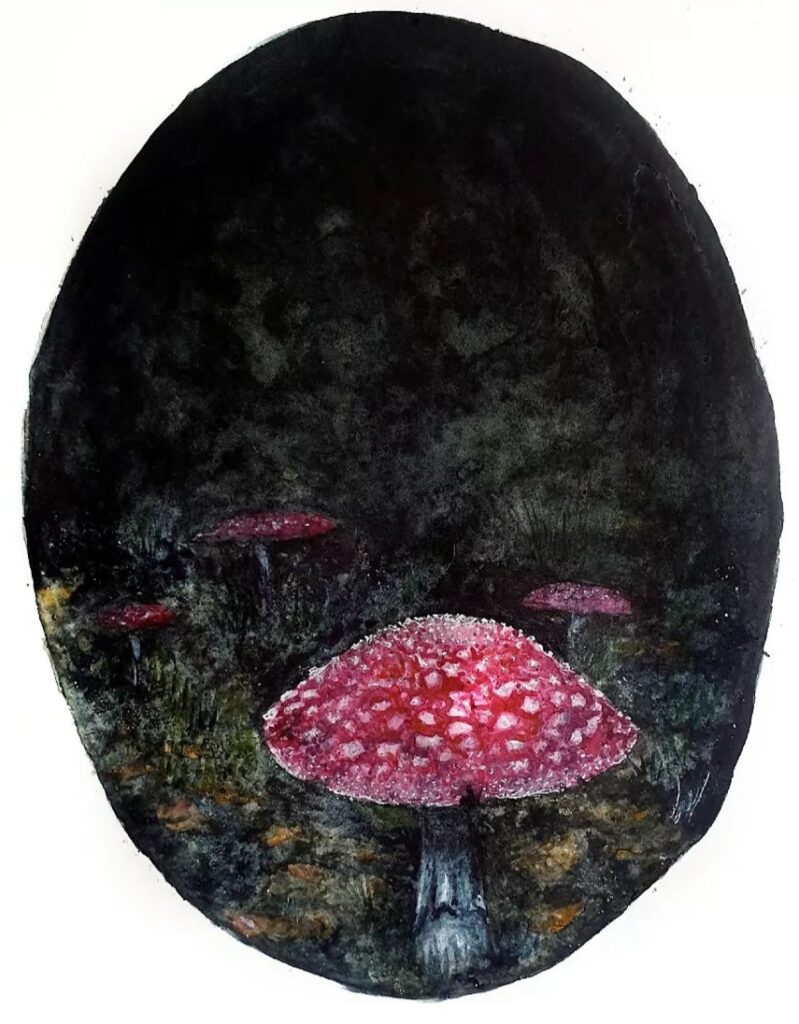 Natt i svampskogen, 2023