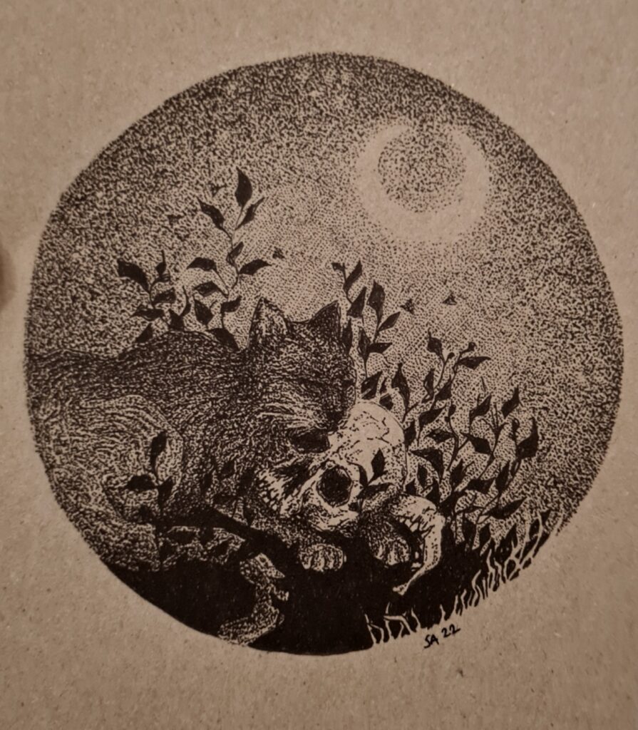 Print, katt, 150 kr, halvt A4